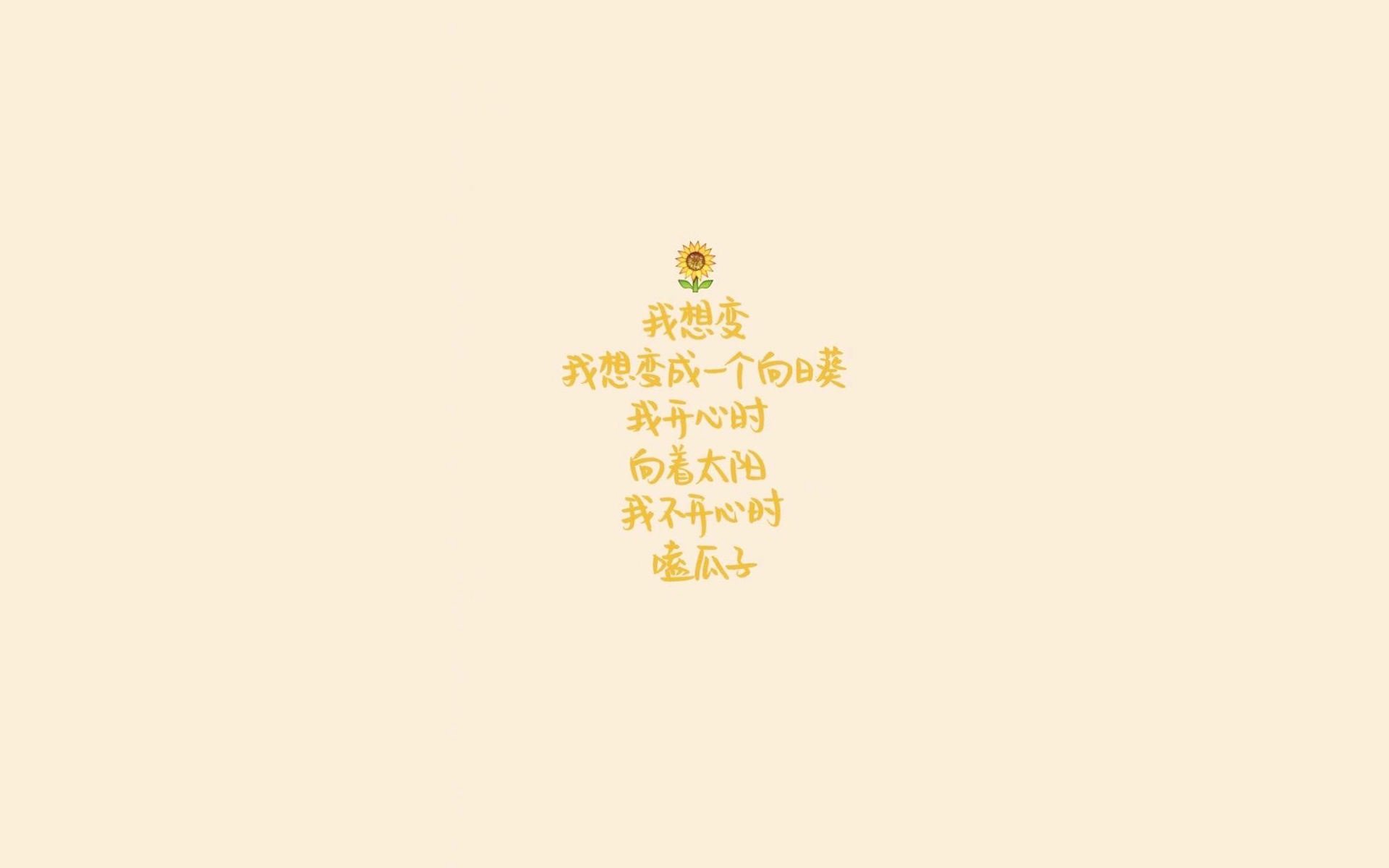 _森林狼连续获胜，士气爆棚追梦季后赛_，森林狼总决赛
