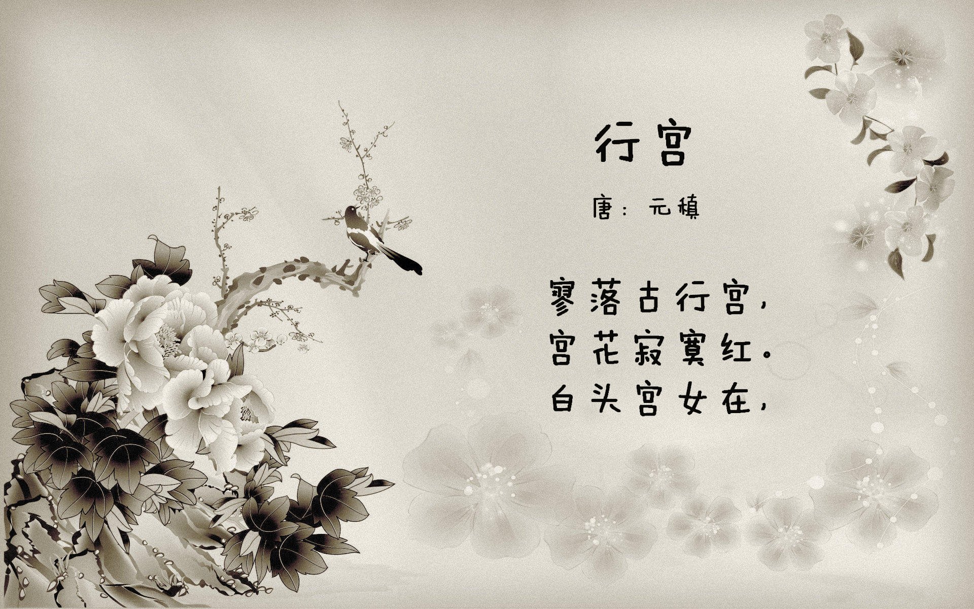 “豪车极速：性能与美学的极致表现”，豪车欣赏