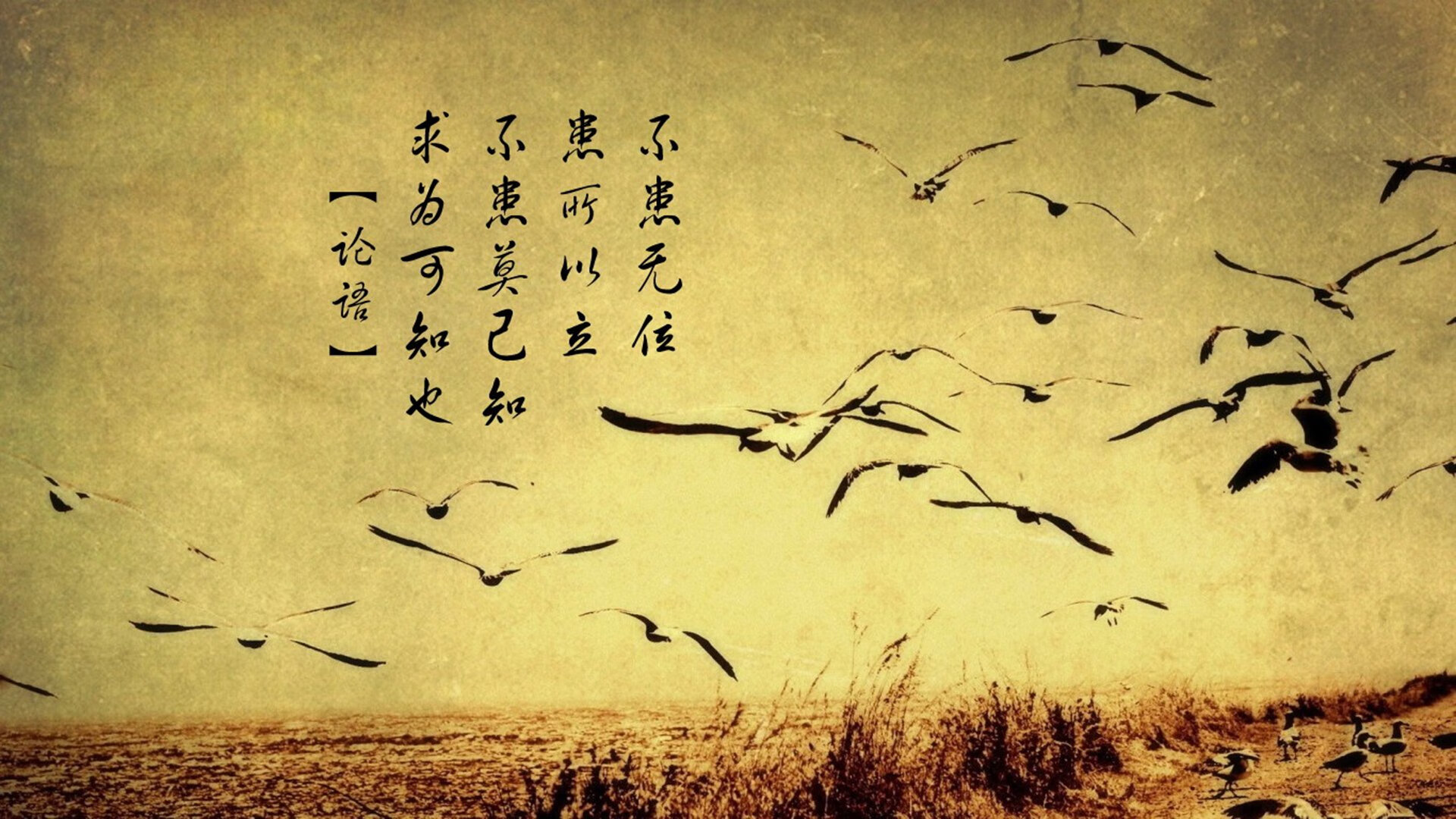 kaiyun体育app-中国足球换帅潮来袭，新任主教练带来新希望，中国足球队现任主教练