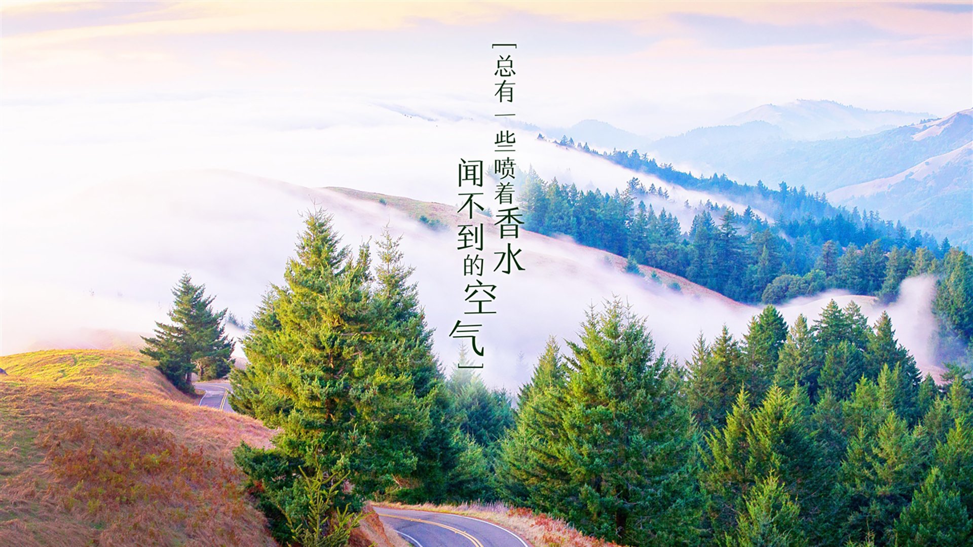 詹姆斯连续多场“30+”，无惧岁月挑战！，詹姆斯现场视频