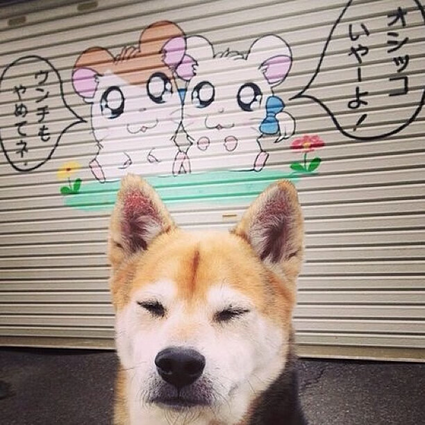 巴西球星预计在本赛季结束后退役，巴西队现在的球星