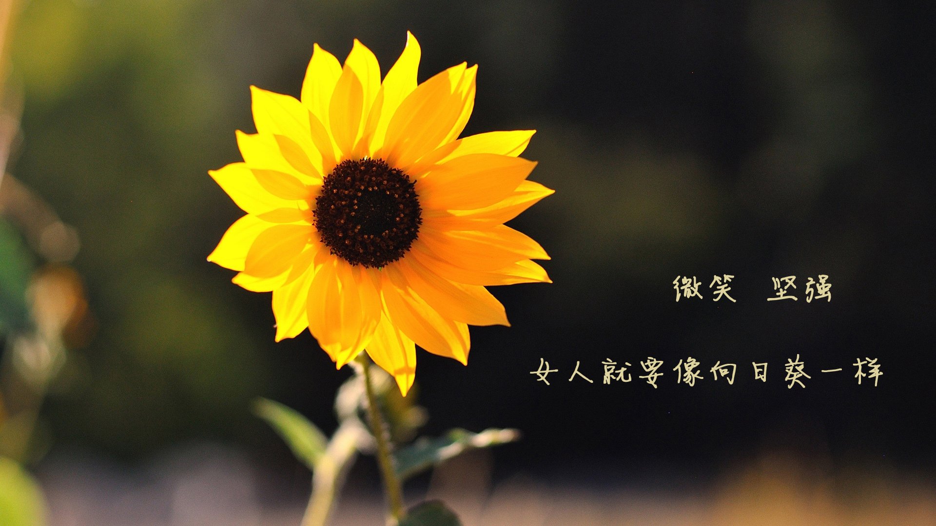Kaiyun APP-球坛趣闻：那些令人难忘的“奇葩”瞬间