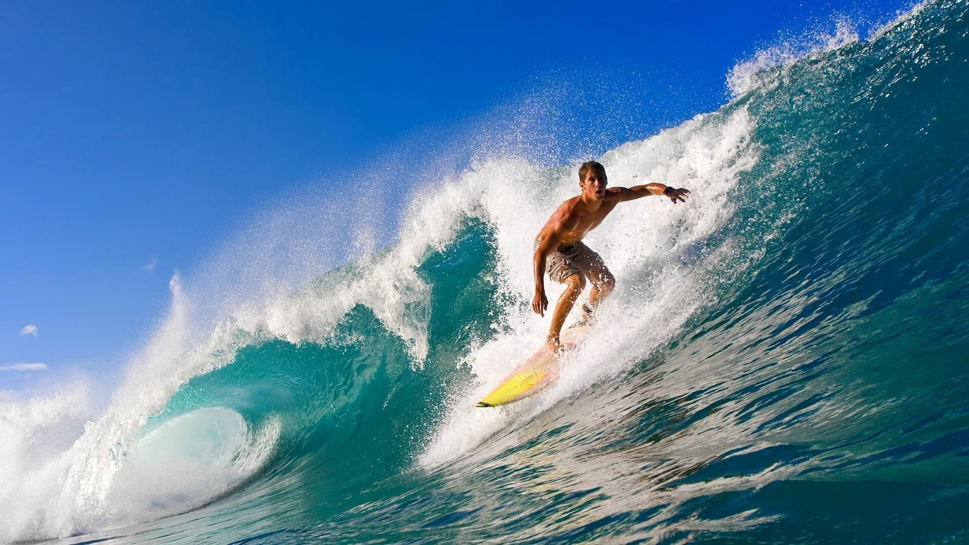 _未来体育智能场馆：科技赋能全民健身_，未来体育馆概念设计